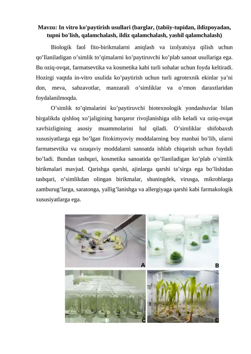 In vitro ko'paytirish usullari 1