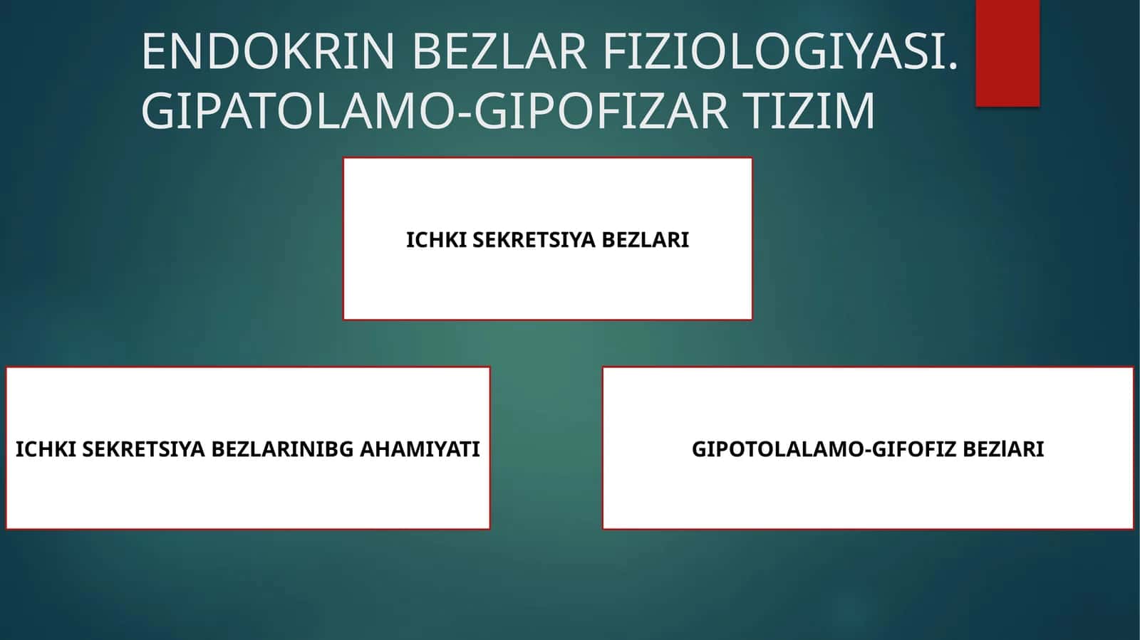 ENDOKRIN BEZLAR FIZIOLOGIYASI.GIPATOLAMO-GIPOFIZAR TIZIM 1