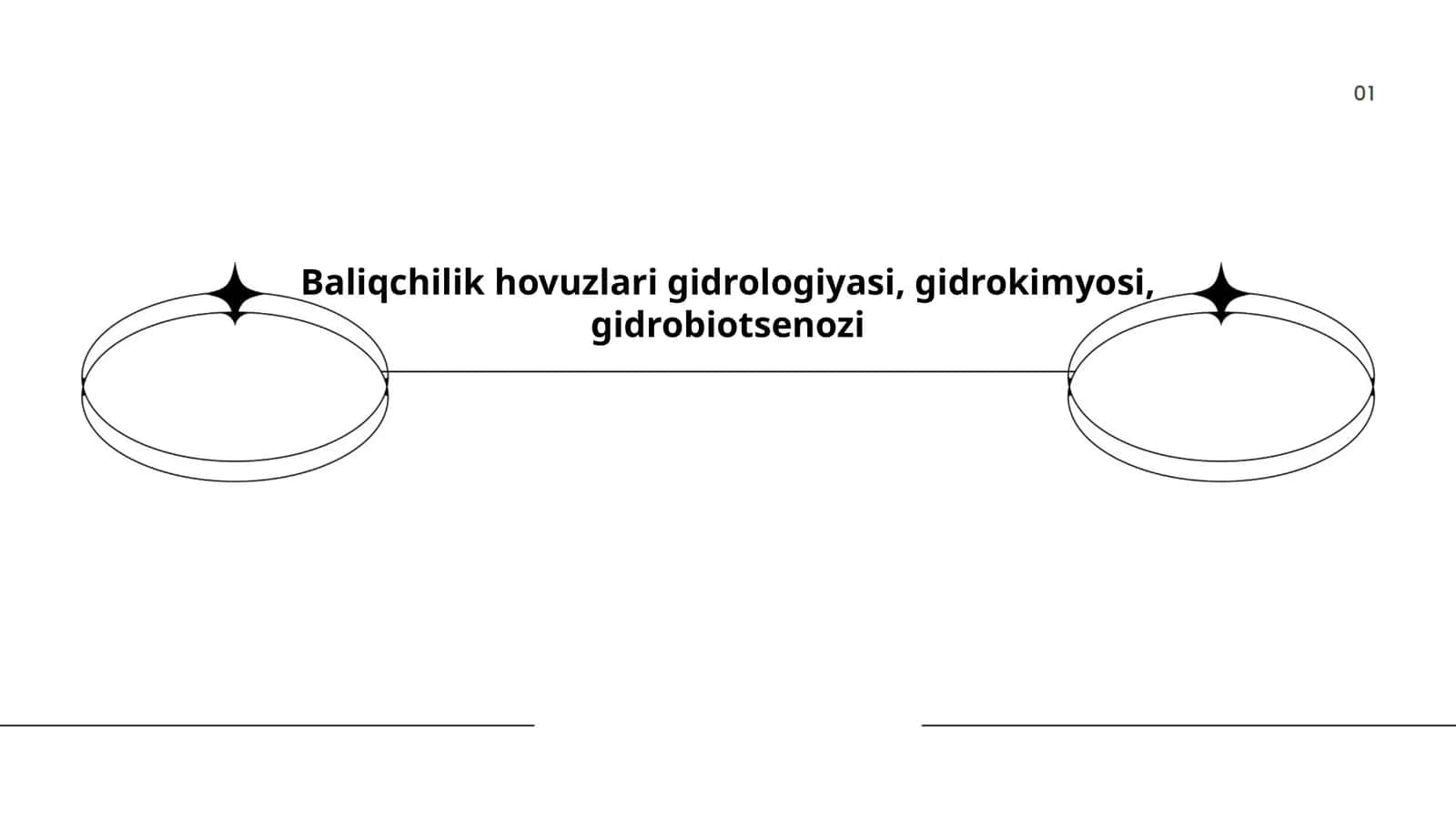 Baliqchilik hovuzlari gidrologiyasi, gidrokimyosi, gidrobiotsenozi 1