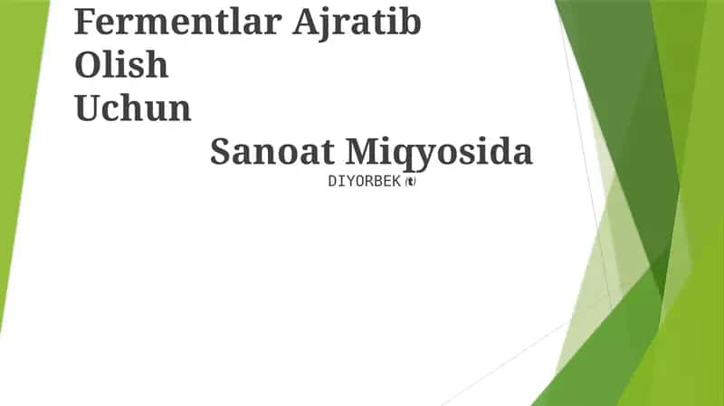 Fermentlar Ajratib Olish Uchun Sanoat Miqyosida 1