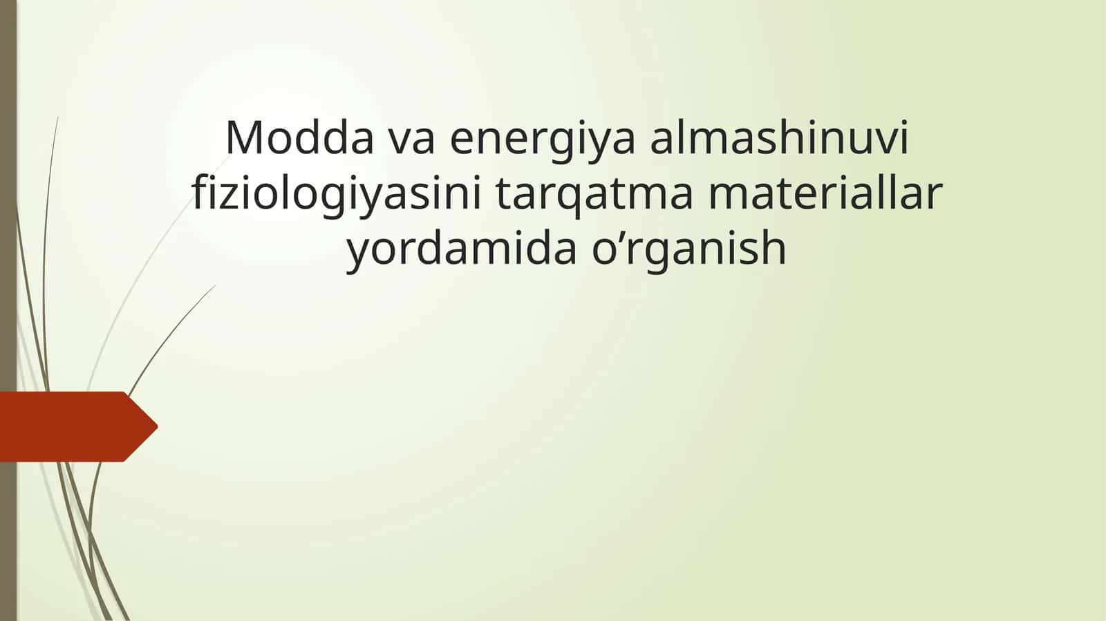 Moddava energiya almashtirish fiziologiyasini tarqatma materiallari orqali o’rganish 1