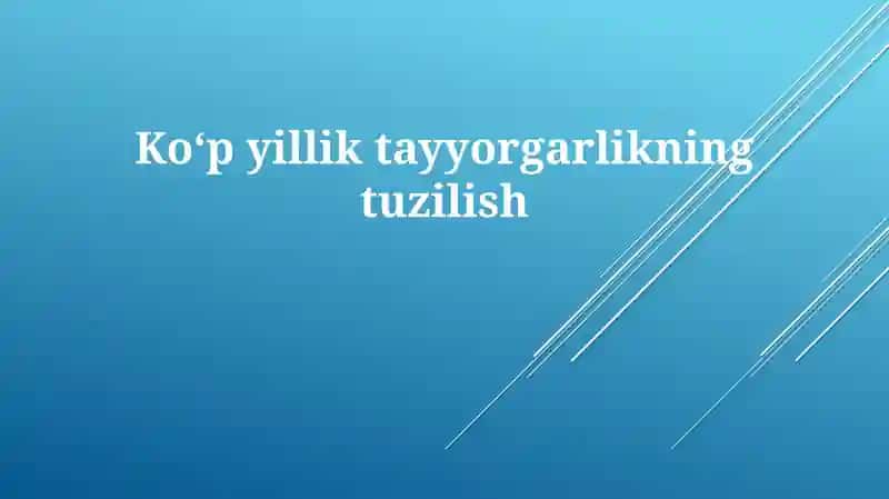 Tayyorgarlikning Tuzilishi