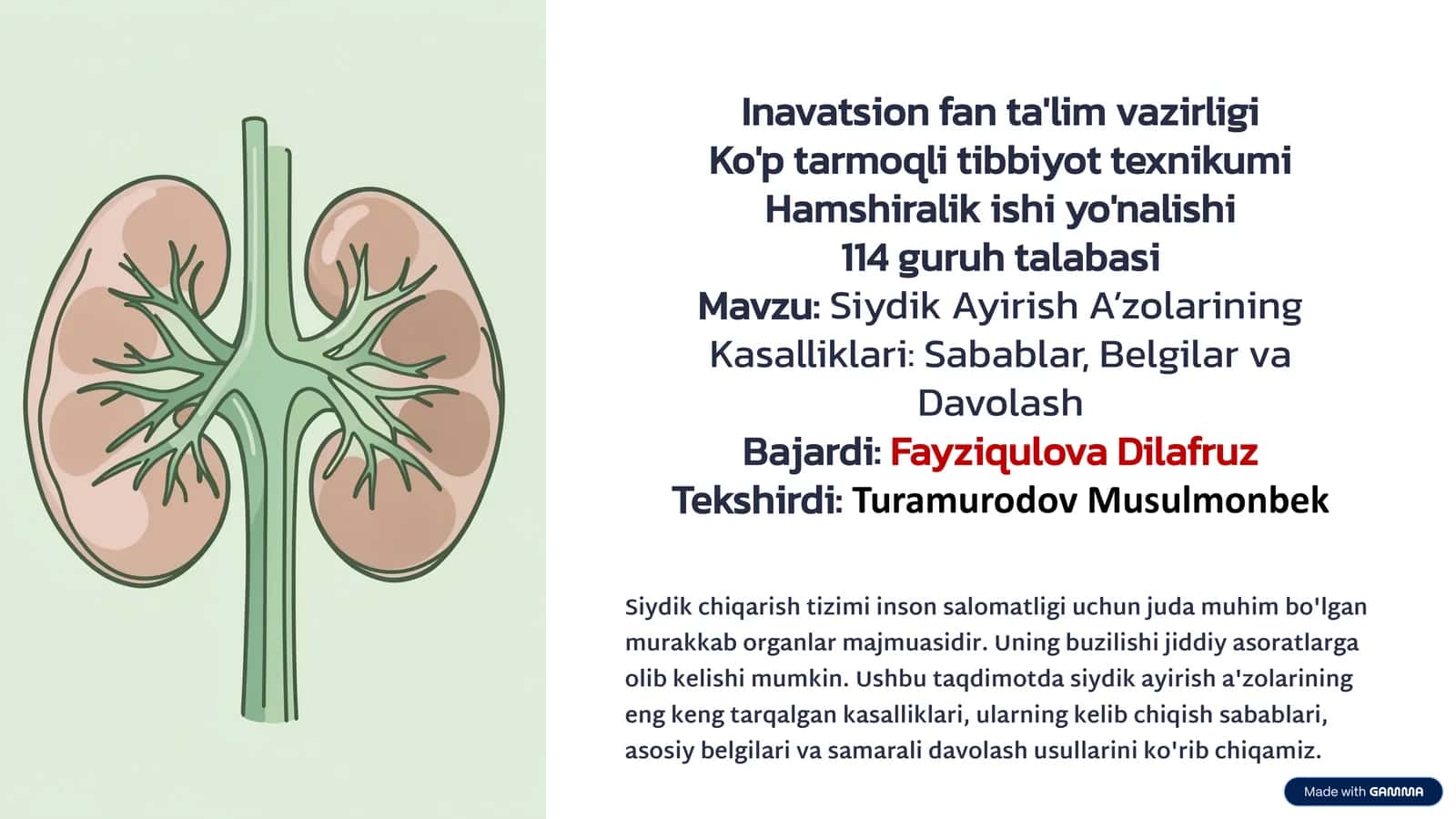 Siydik Ayirish A’zolarining Kasalliklari: Sabablar, Belgilar va Davolash 1