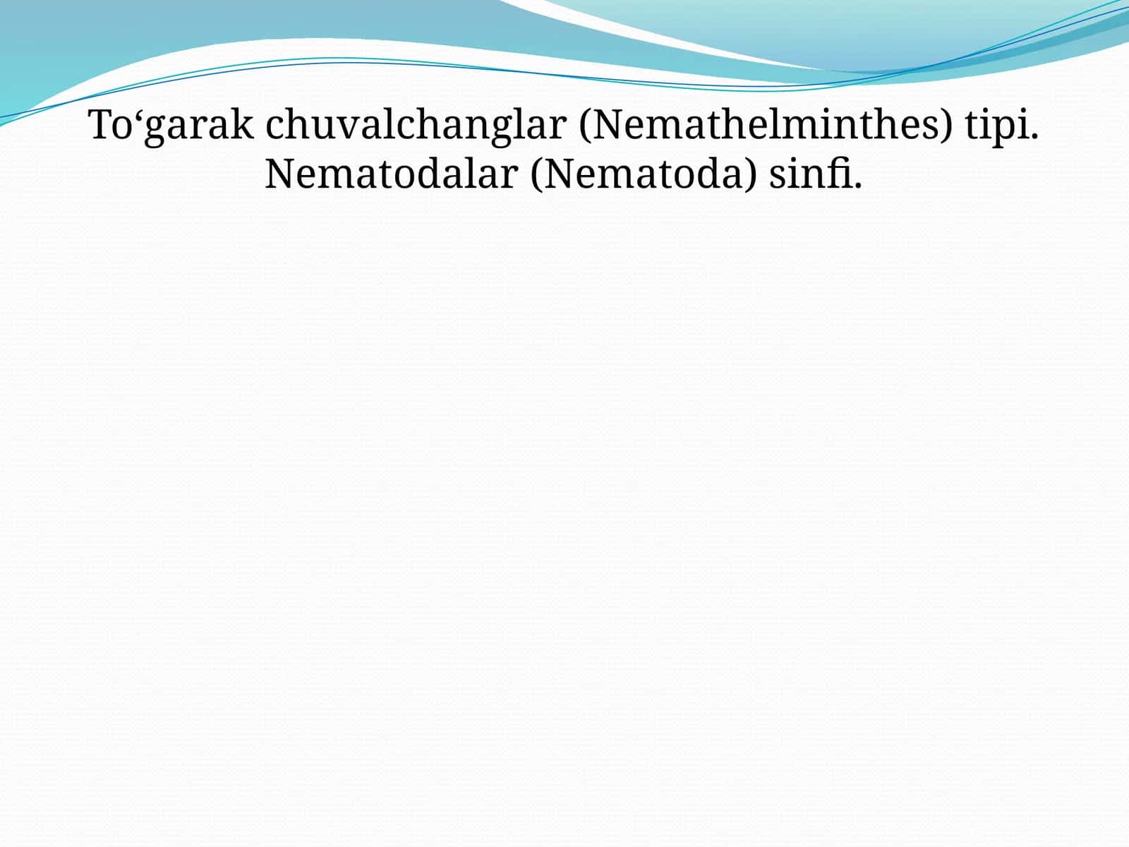To‘garak chuvalchanglartipining umumiy tavsifi va sistematikasi 1