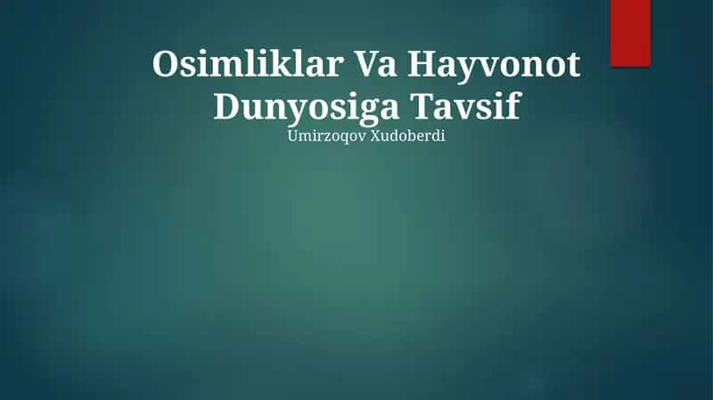 Osimliklar Va Hayvonot Dunyosiga Tavsif 1