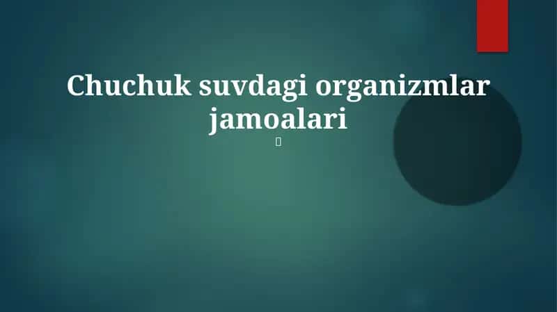 Chuchuk suvdagi organizmlar jamoalari 1