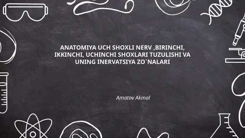 Uch shoxli nerv, birinchi, ikkinchi, uchinchi shoxlari tuzulishi va uning inervatsiya zo`nalari 1