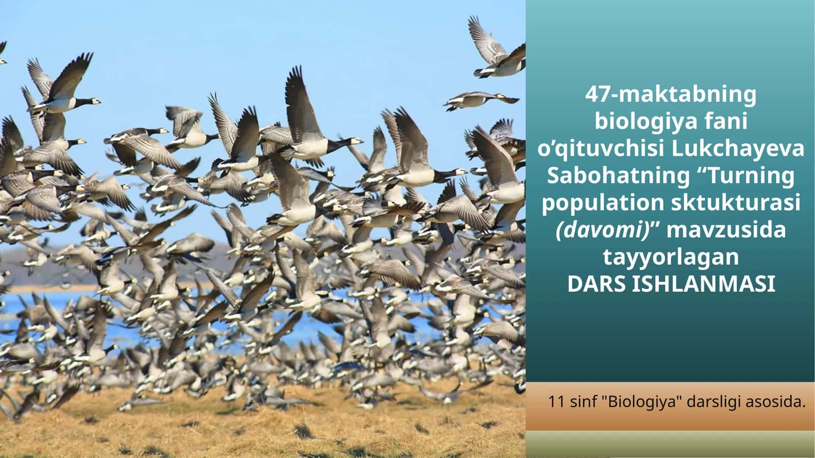 "Turning populationsktukturasi(davomi)" mavzusida 1