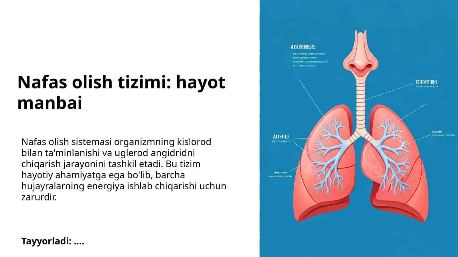 Nafas olish tizimi: hayot manbai 1