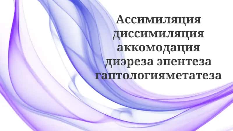 Звуковые изменения и история языка 1