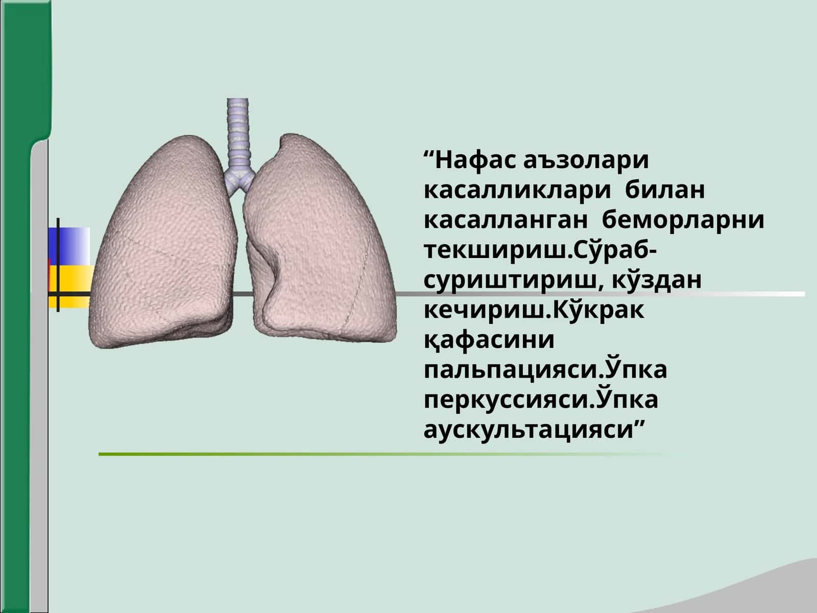 Нафас аъзолари касалликлари билан касалланган беморларни текшириш 1