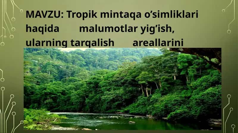 Tropik mintaqa o’simliklarini kontur xaritaga tushirish 1