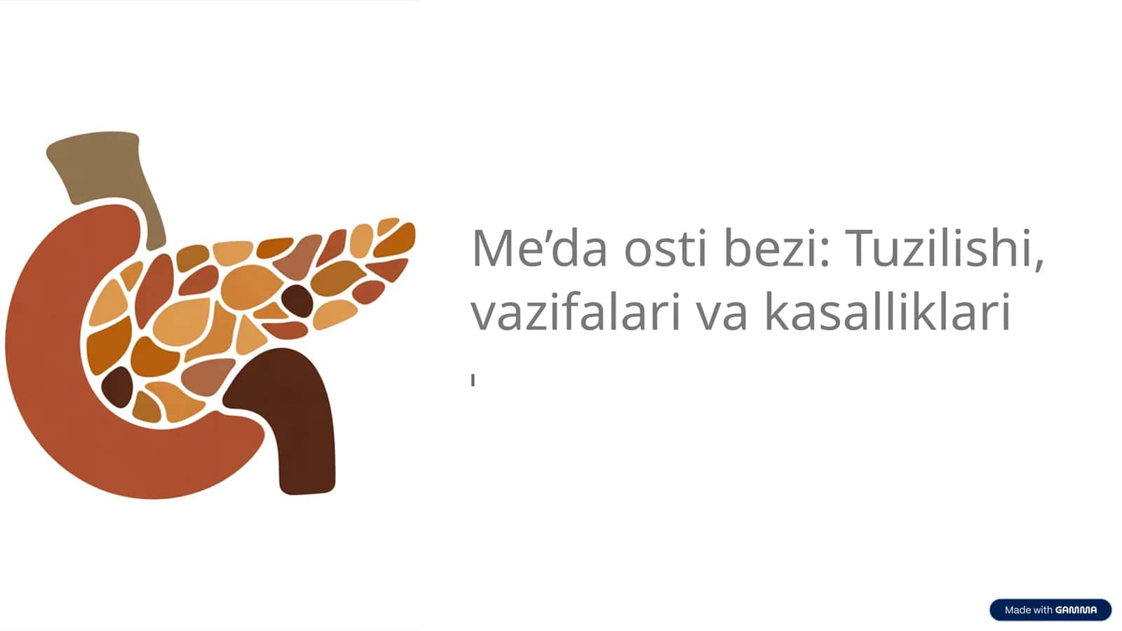 Me’da osti bezi: Tuzilishi, vazifalari va kasalliklari 1
