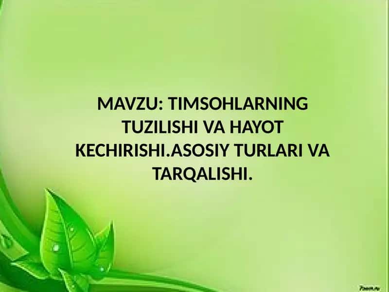 Timsohlarning tuzilishi va hayot kechirishi 1