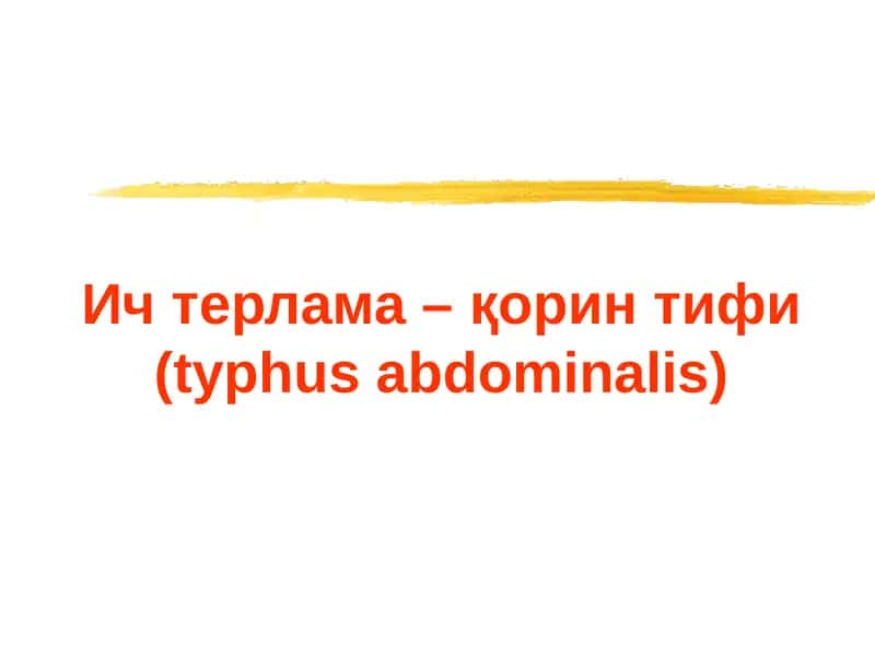 Ич терлама –қорин тифи (typhus abdominalis) 1