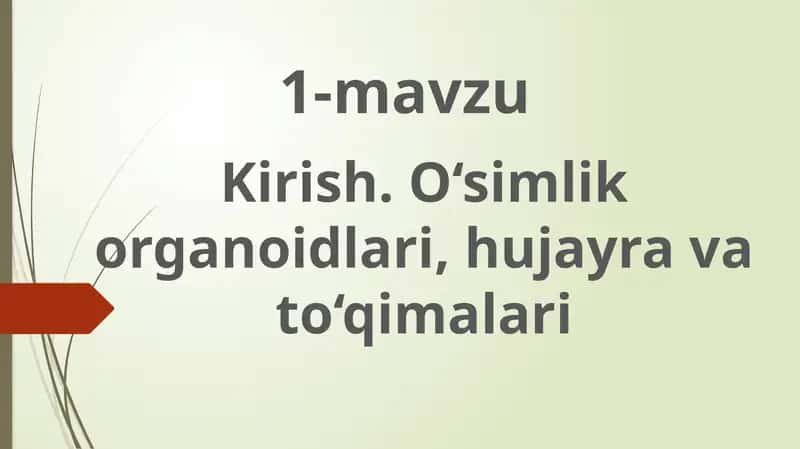 O‘simlik hujayratuzilishi 1