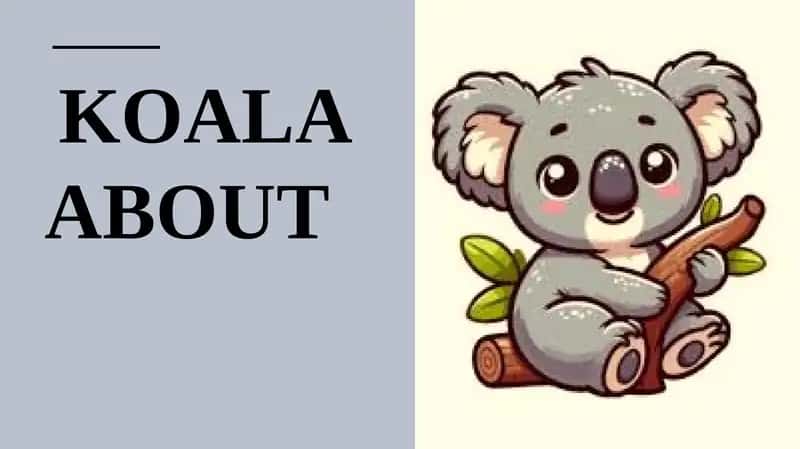 Koala about 1