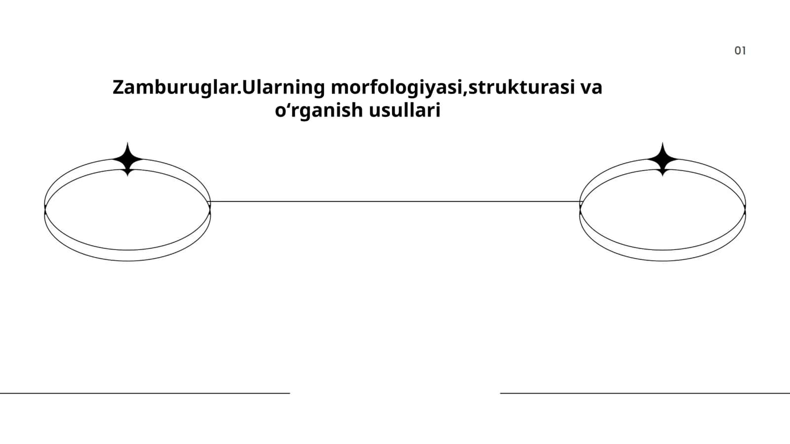 Zamburuglar.Ularning morfologiyasi,strukturasi va oʻrganish usullari 1
