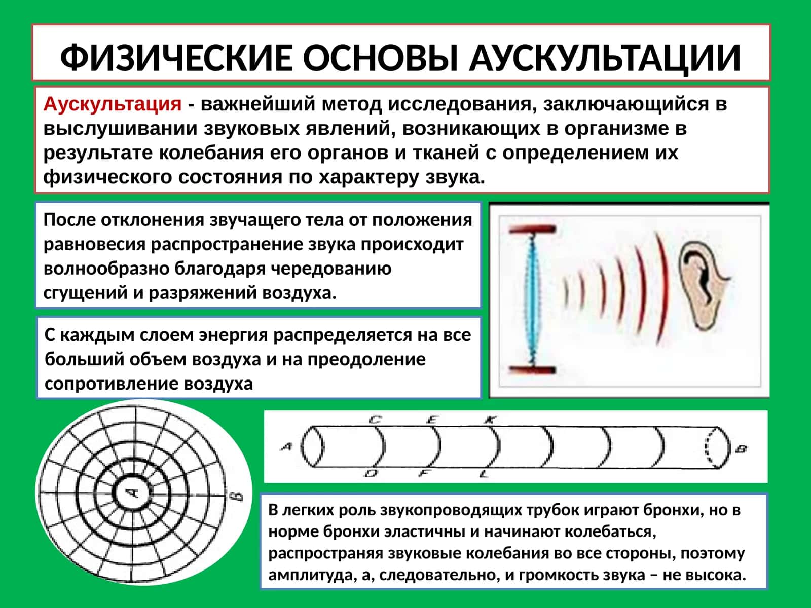 ФИЗИЧЕСКИЕ ОСНОВЫ АУСКУЛЬТАЦИИ 1
