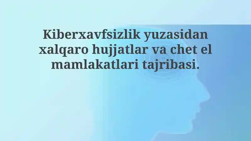 Budapesht konvensiyasi (2001)