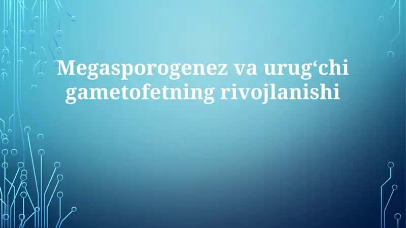 Megasporogenez va urugʻchigametofetning rivojlanishi 1