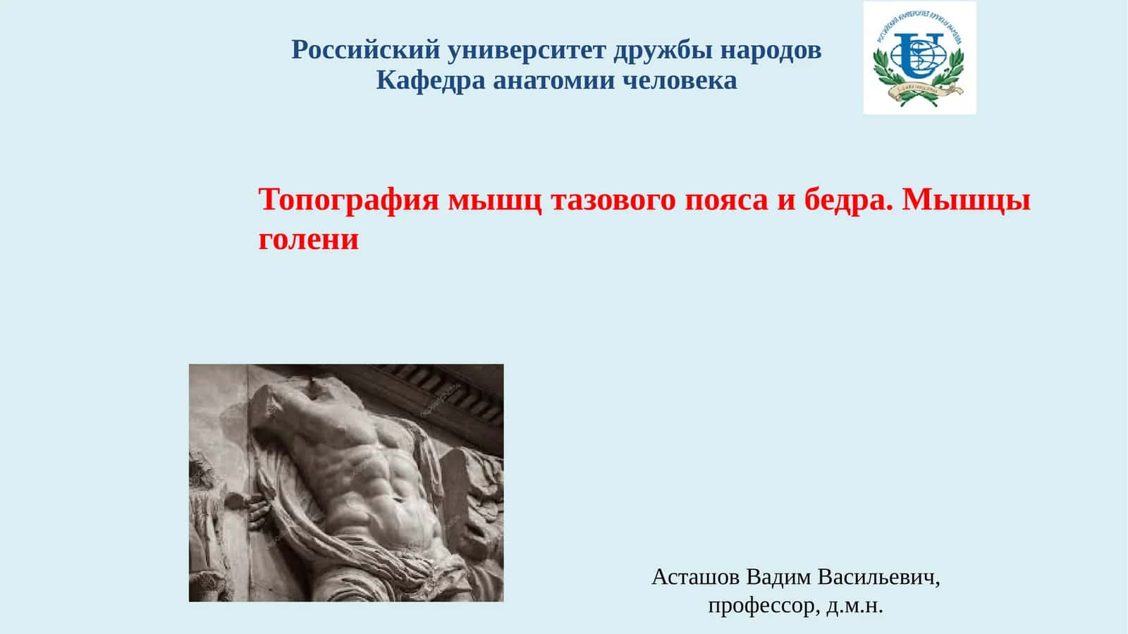 Мышцы тазового пояса 1