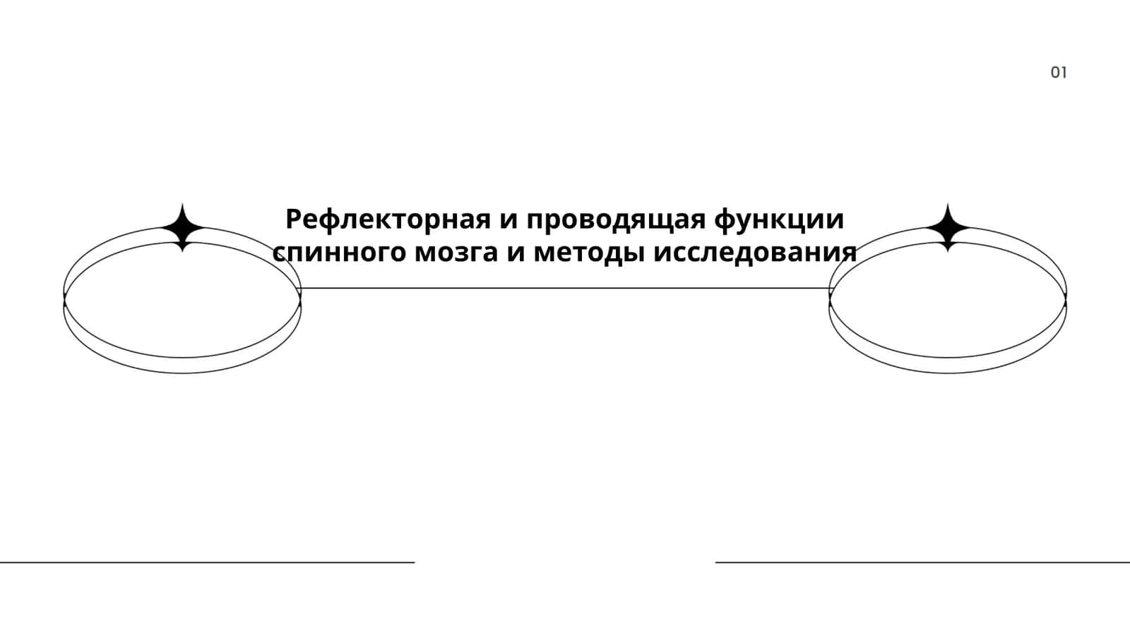 Рефлекторная и проводящая функции спинного мозга и методы исследования 1