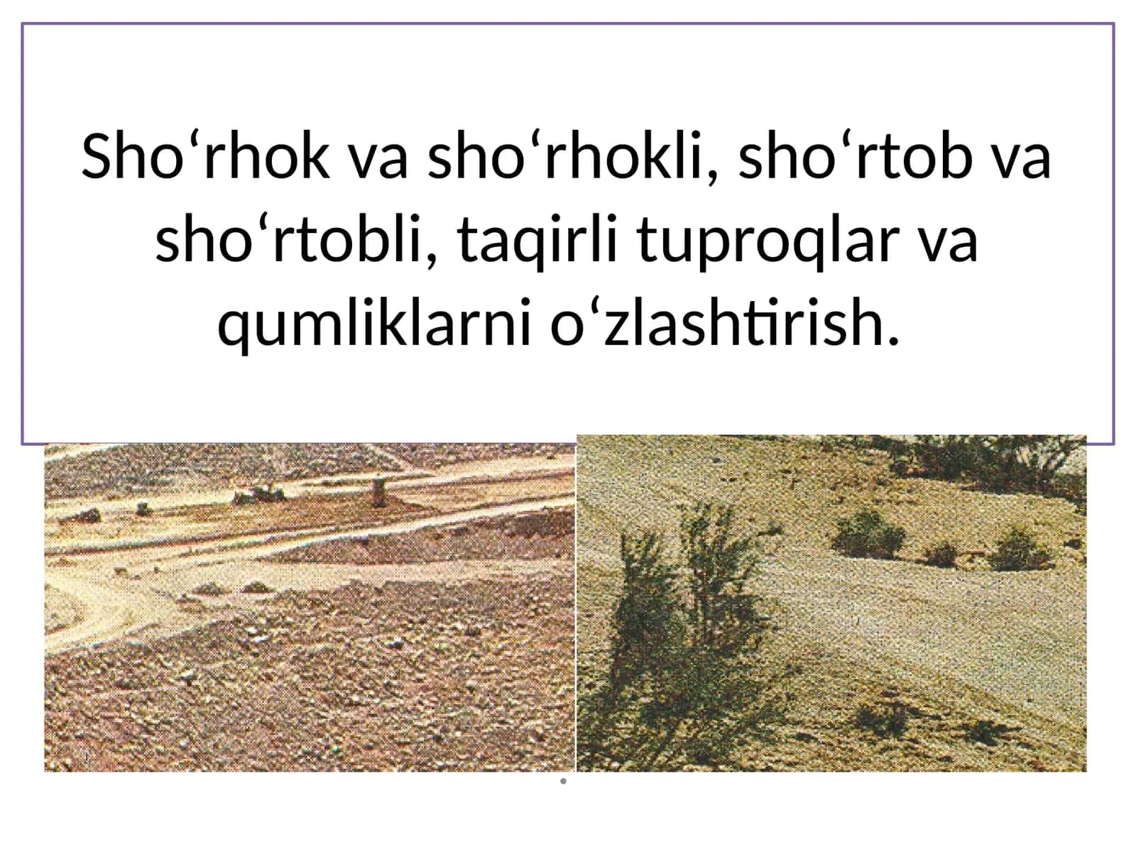 Sho‘rhok va sho‘rhokli, sho‘rtob va sho‘rtobli, taqirli tuproqlar va qumliklarni o‘zlashtirish 1