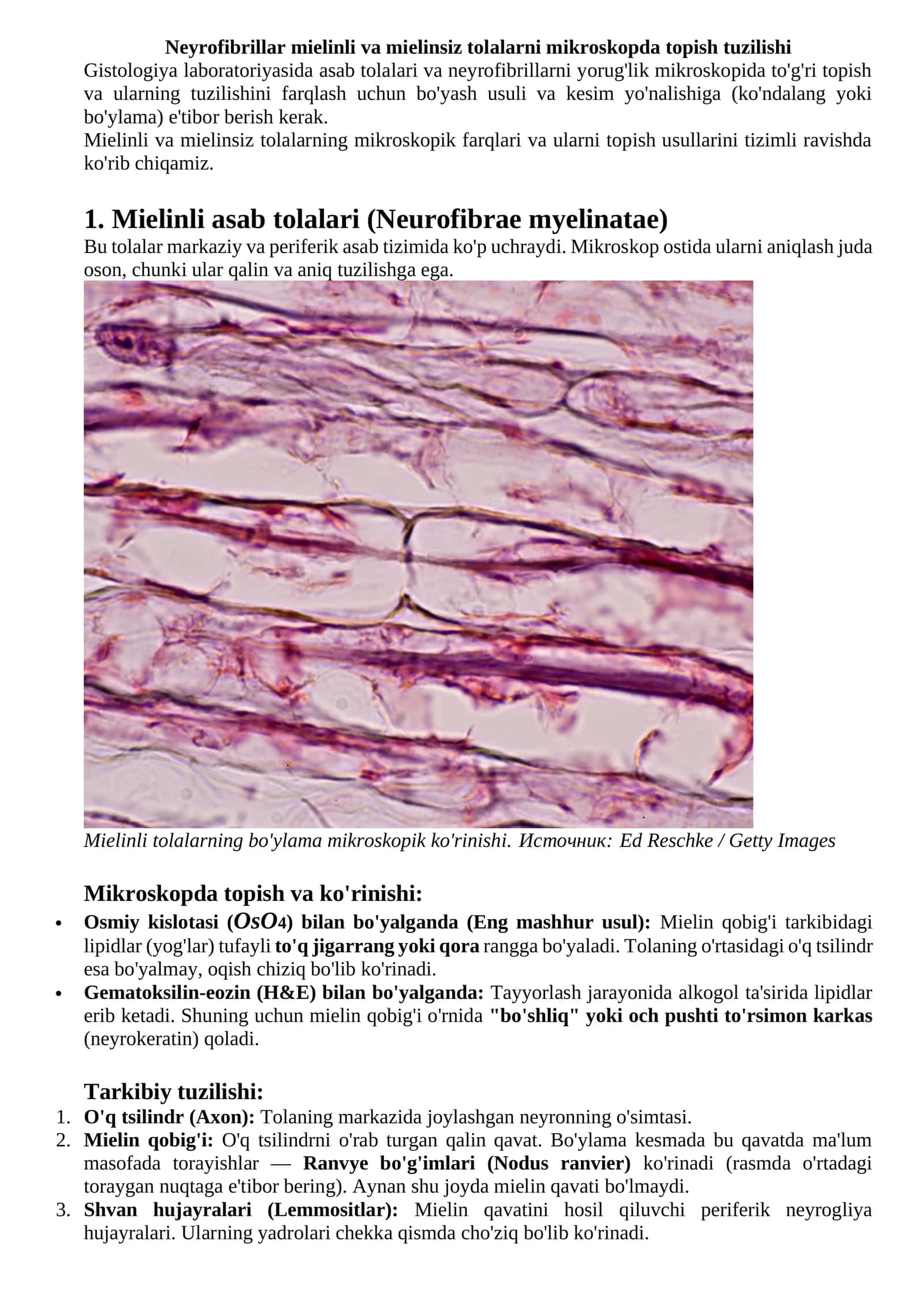 Neyrofibrillar mielinli va mielinsiz tolalarni mikroskopda topish tuzilishi 1