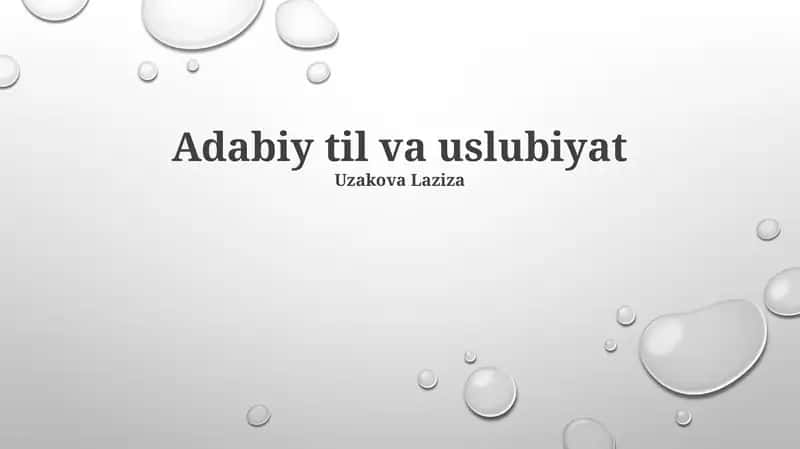 Adabiy til va uslubiyat 1