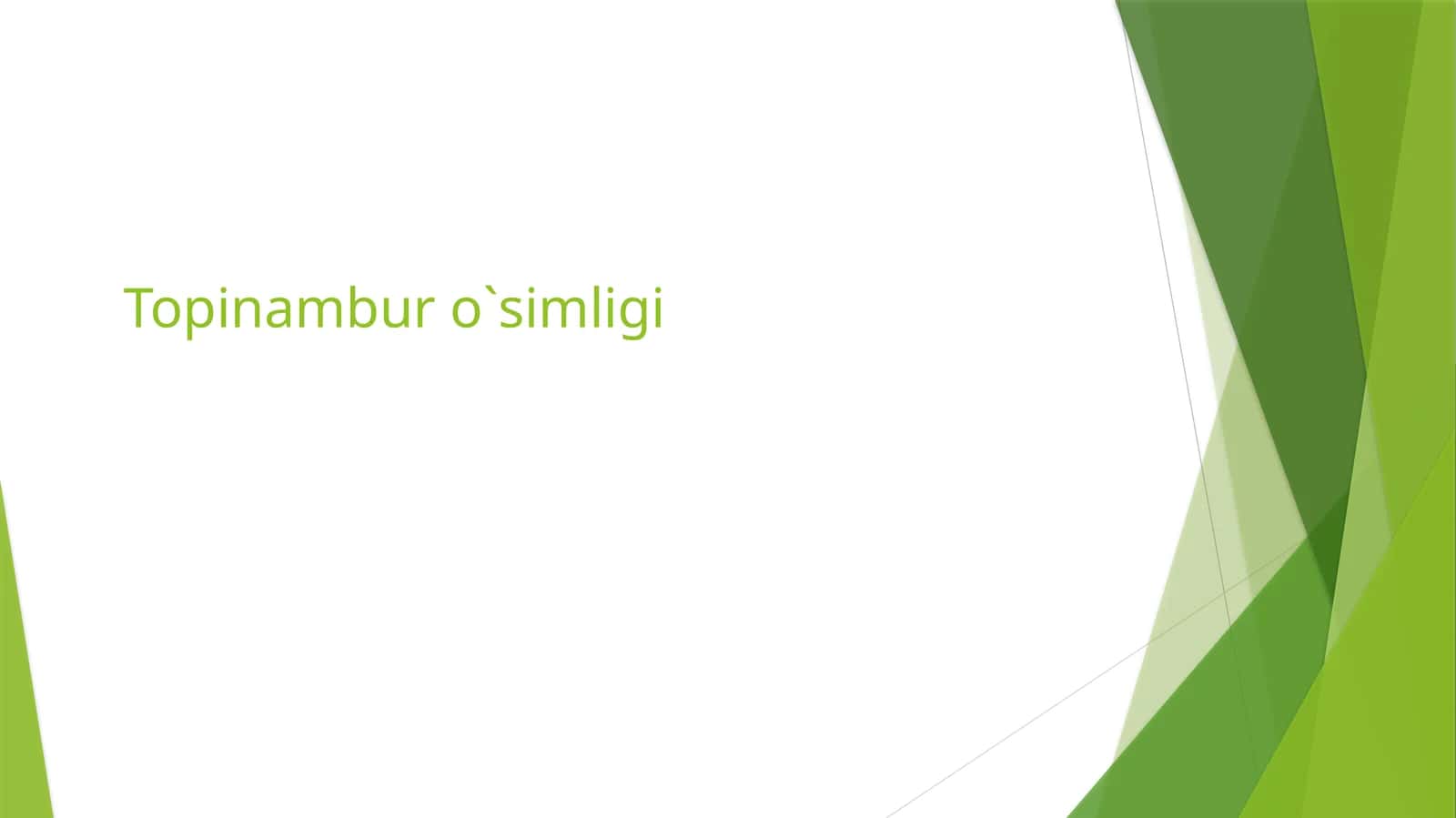 Topinambur o`simligi 1