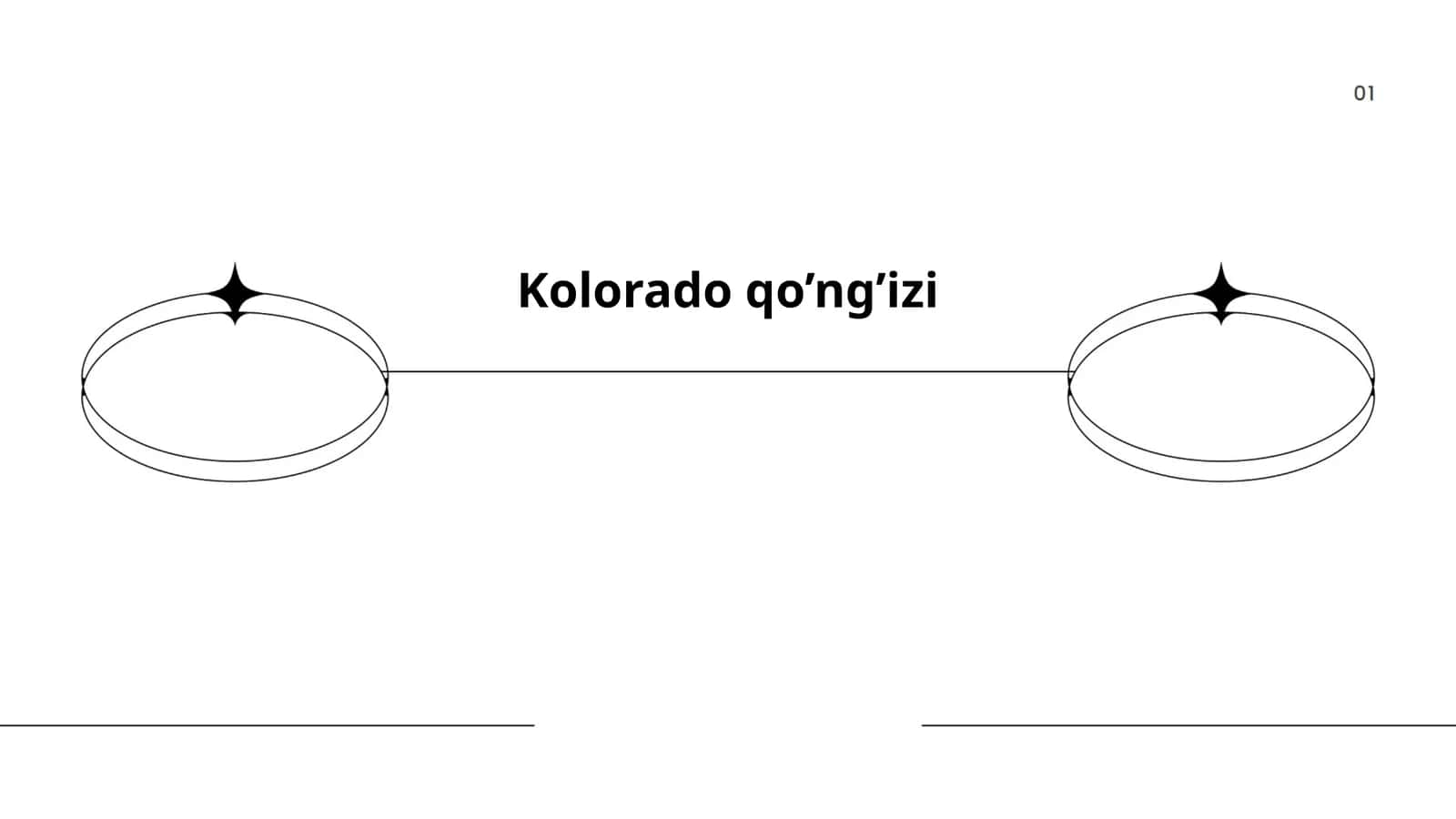 Kolorado qo’ng’izi 1