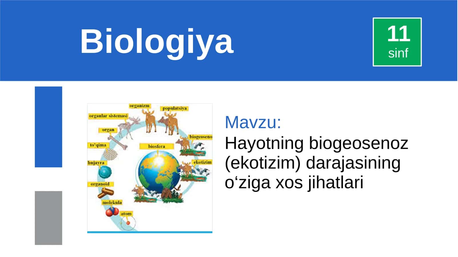 Hayotning biogeosenoz (ekotizim) darajasining o‘ziga xos jihatlari 1