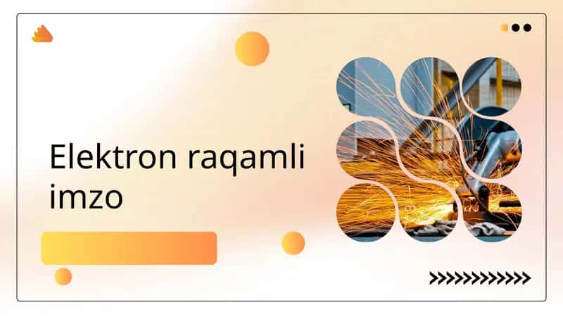 Elektron raqamli imzo 1
