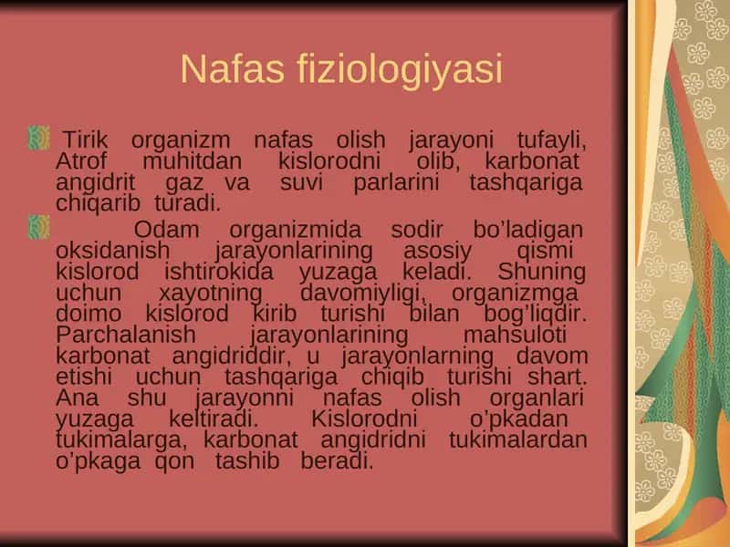 Nafas fiziologiyasi 1