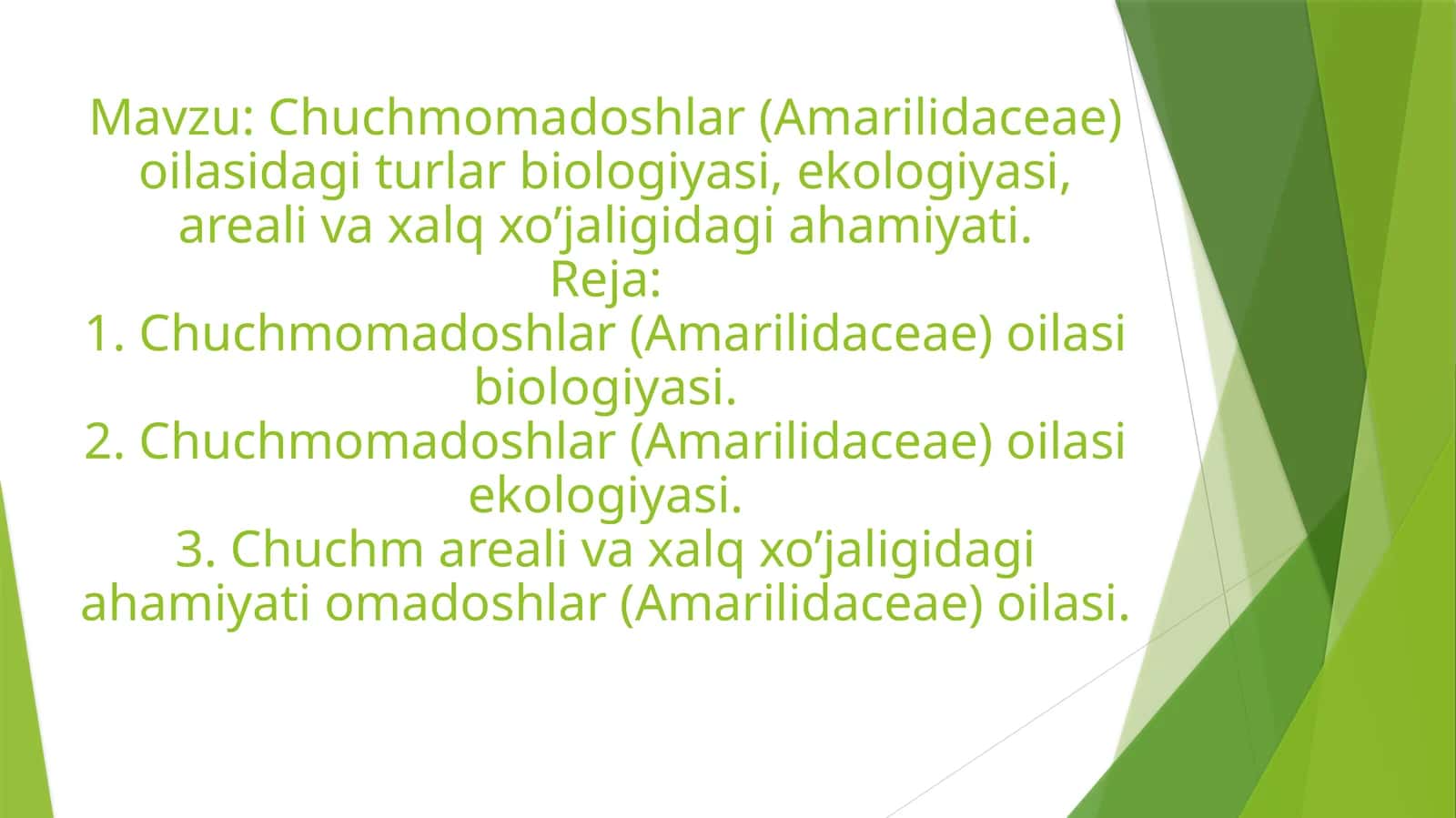 Chuchmomadoshlar oilasi (Chuchmomadoshlar) 1