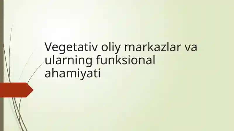 Vegetativ o‘liy markazlar va ularning funksional ahamiyati