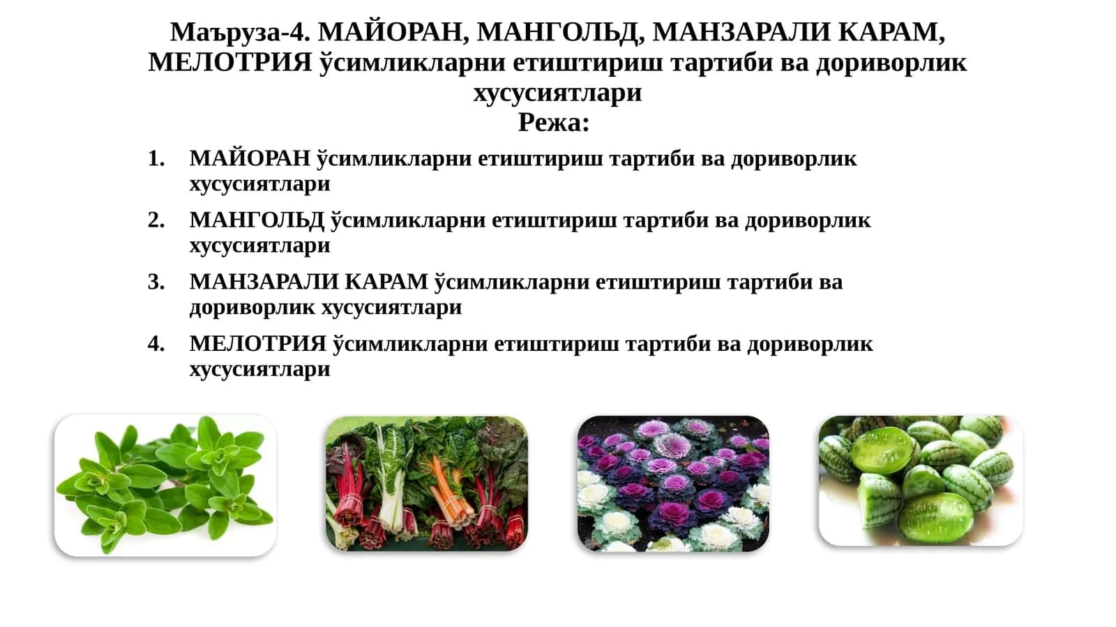МАЙОРАН,МАНГОЛЬД,МАНЗАРАЛИКАРАМ,МЕЛОТРИЯўсимликларниетиштириш тартиби ва дориворлик хусусиятлари 1