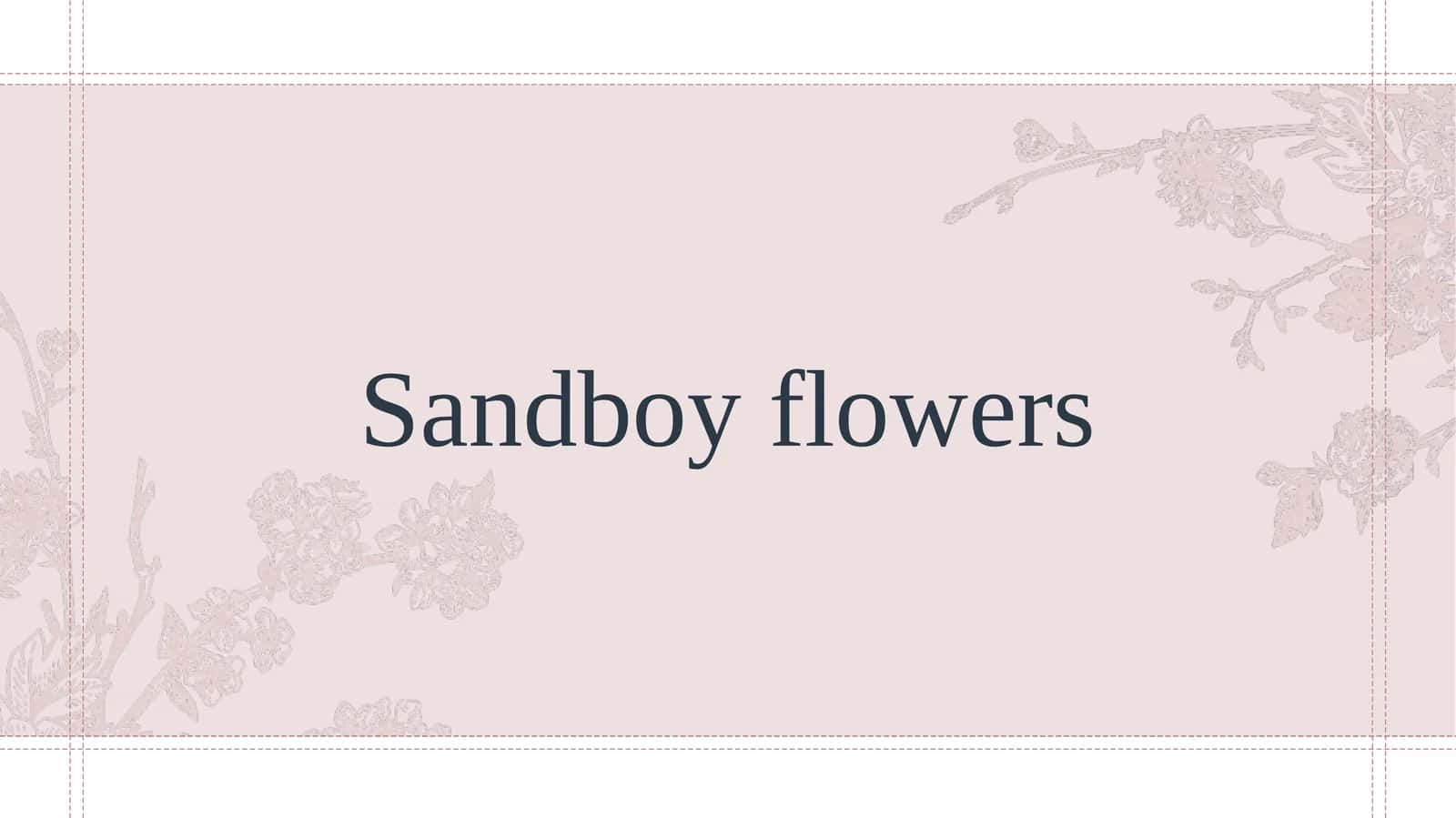 Sandboy flowers Biznes loyiha 1