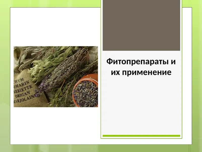 Фитопрепараты и их применение 1