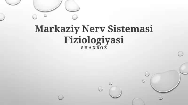 Markaziy Nerv Sistemasi Fiziologiyasi 1