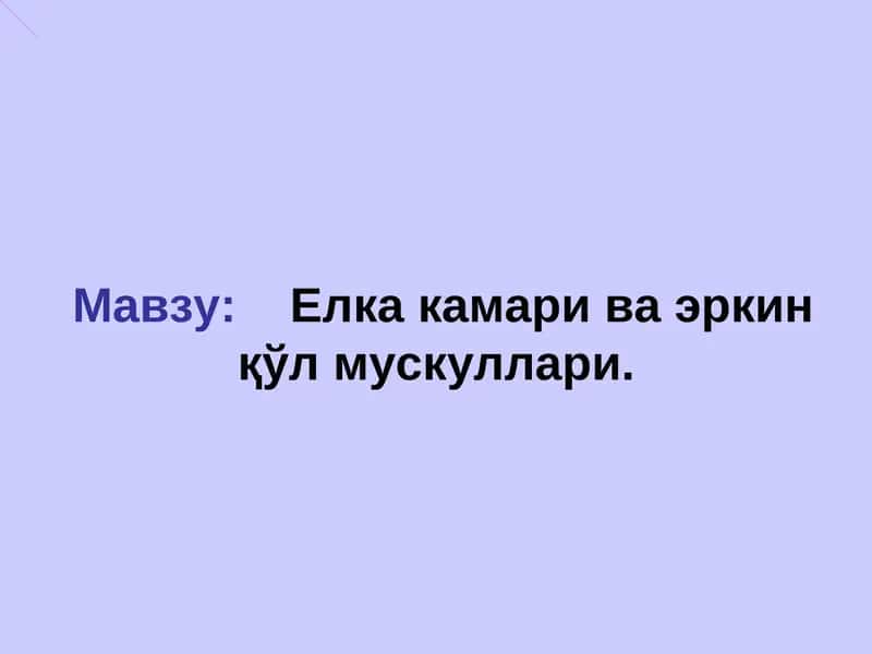 Елка камари ва эркинқўл мускуллари 1