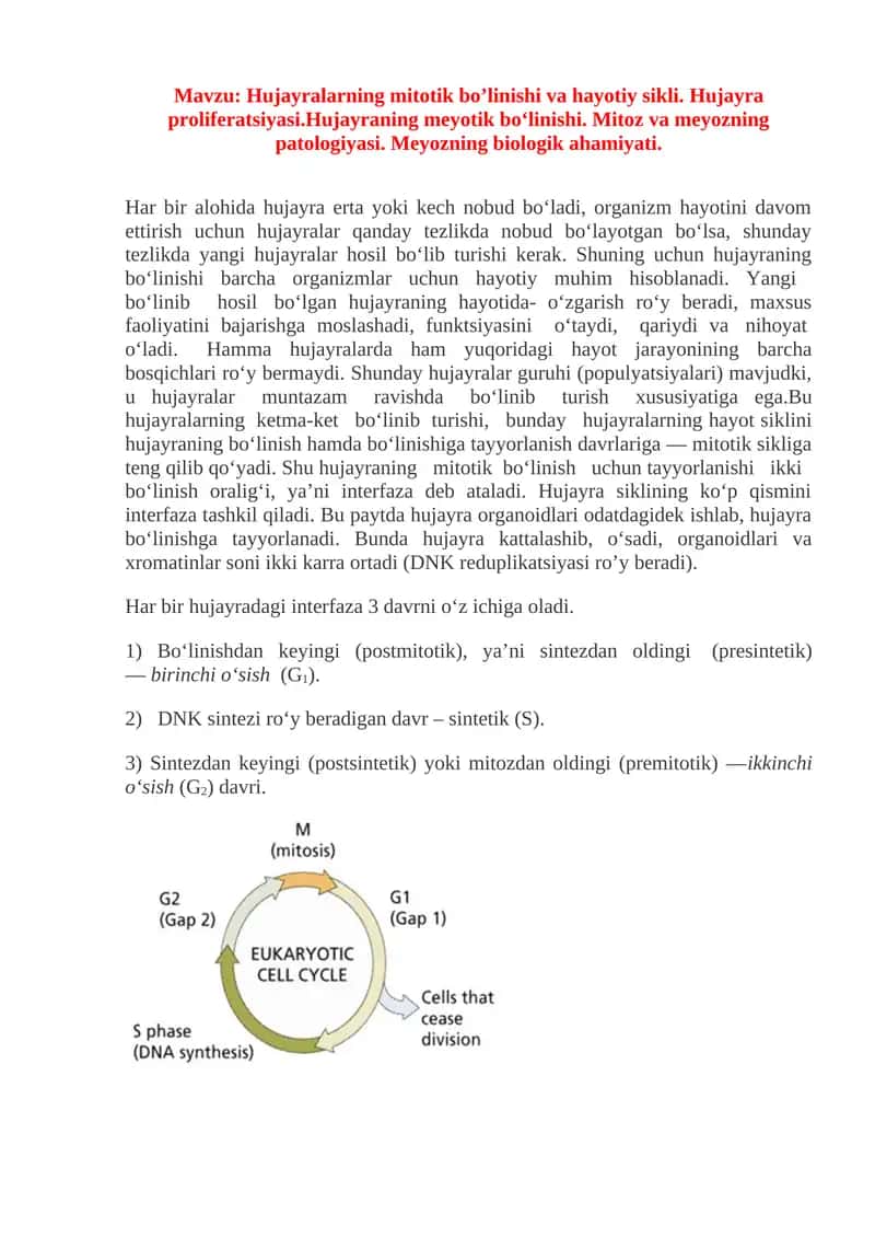 Hujayralarning mitotik bo’linishi va hayotiy sikli 1