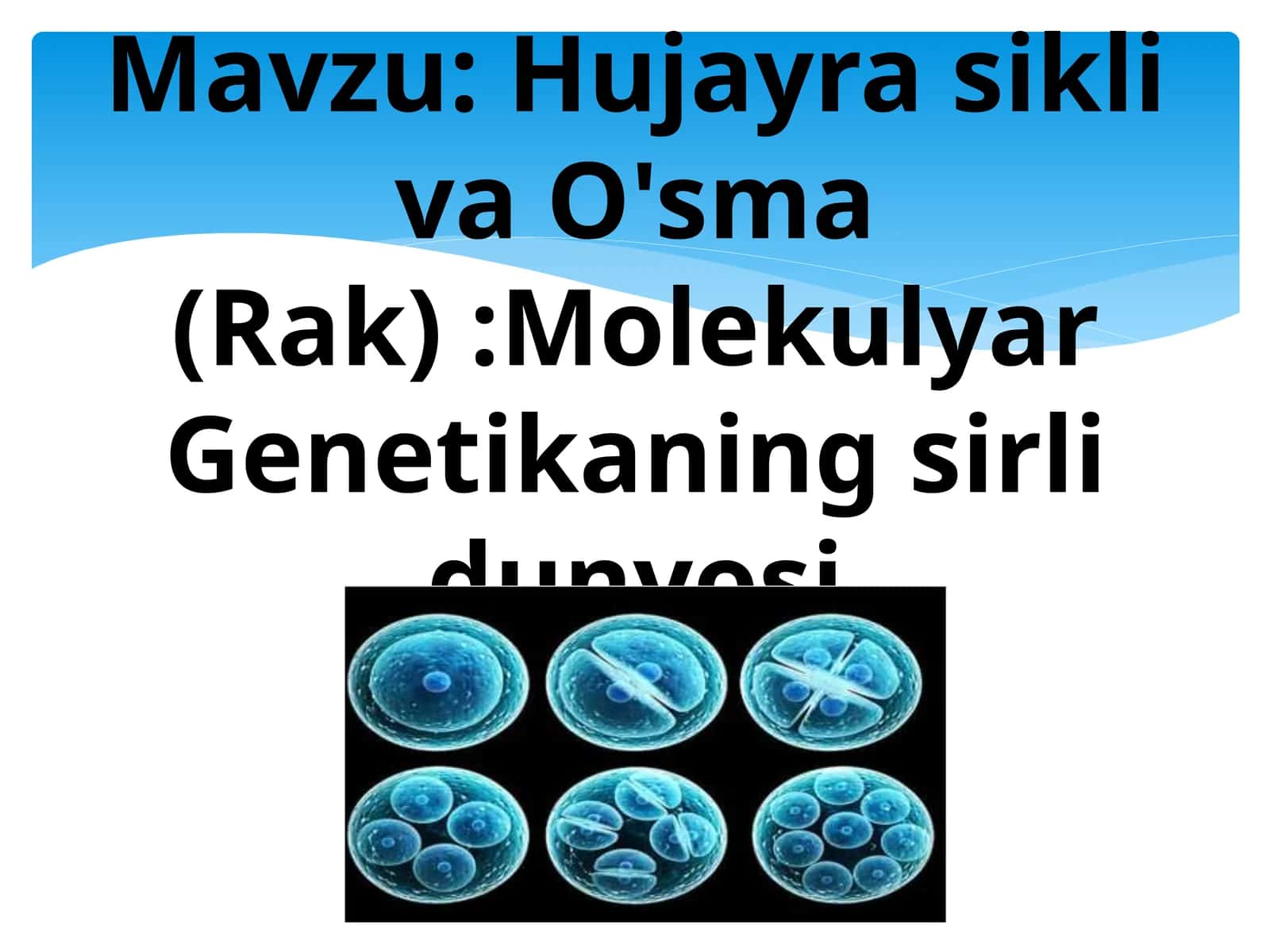 Hujayrasikli va O'sma (Rak):Molekulyar Genetikaning sirli dunyosi 1
