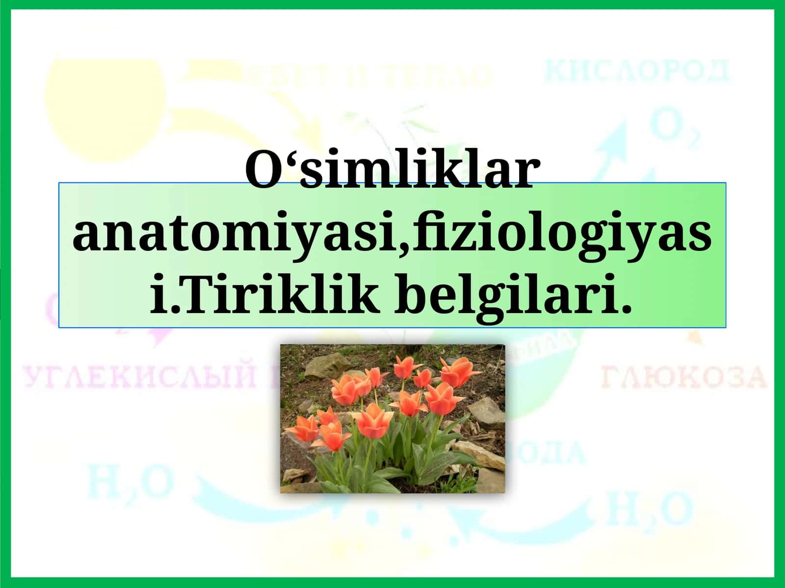 O‘simliklar anatomiyasi, fiziologiyasi. Tiriklik belgilari 1