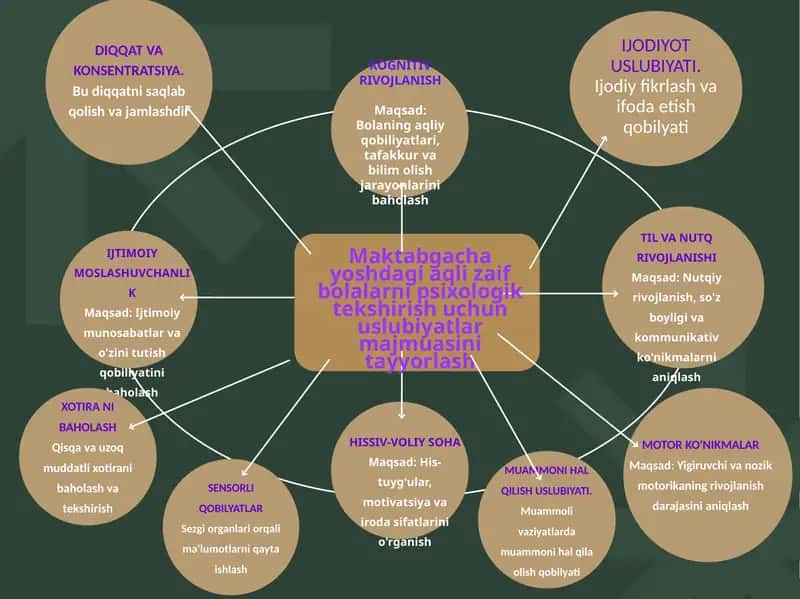 Maktabgacha yoshdagi aqli zaif bolalarni psixologik tekshirish uchun uslubiyatlar majmuasini tayyorlash 1