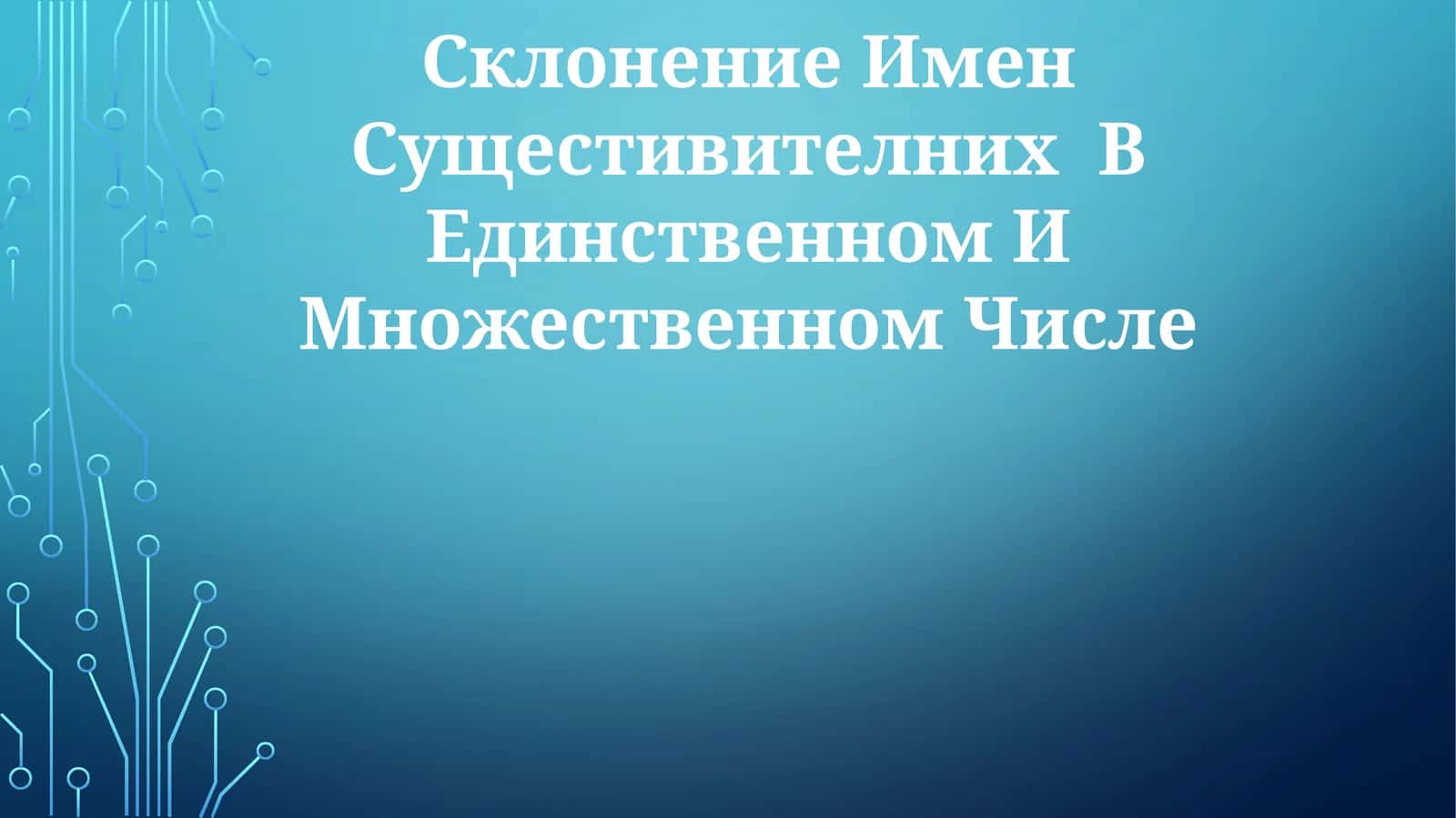 Склонение имен существительных в единственном и множественном числе 1