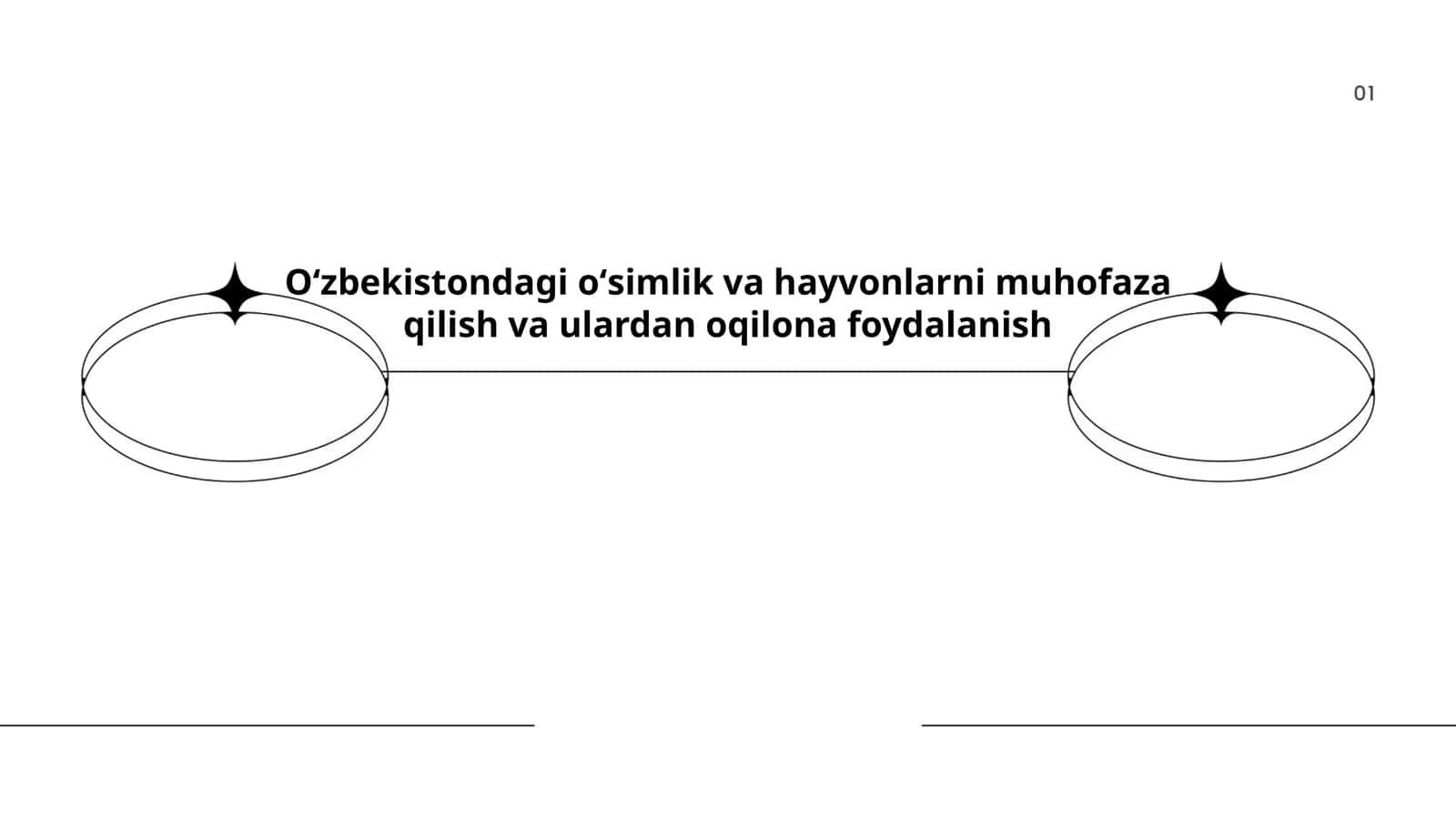 Oʻzbekistondagi oʻsimlik va hayvonlarni muhofaza qilish va ulardan oqilona foydalanish 1