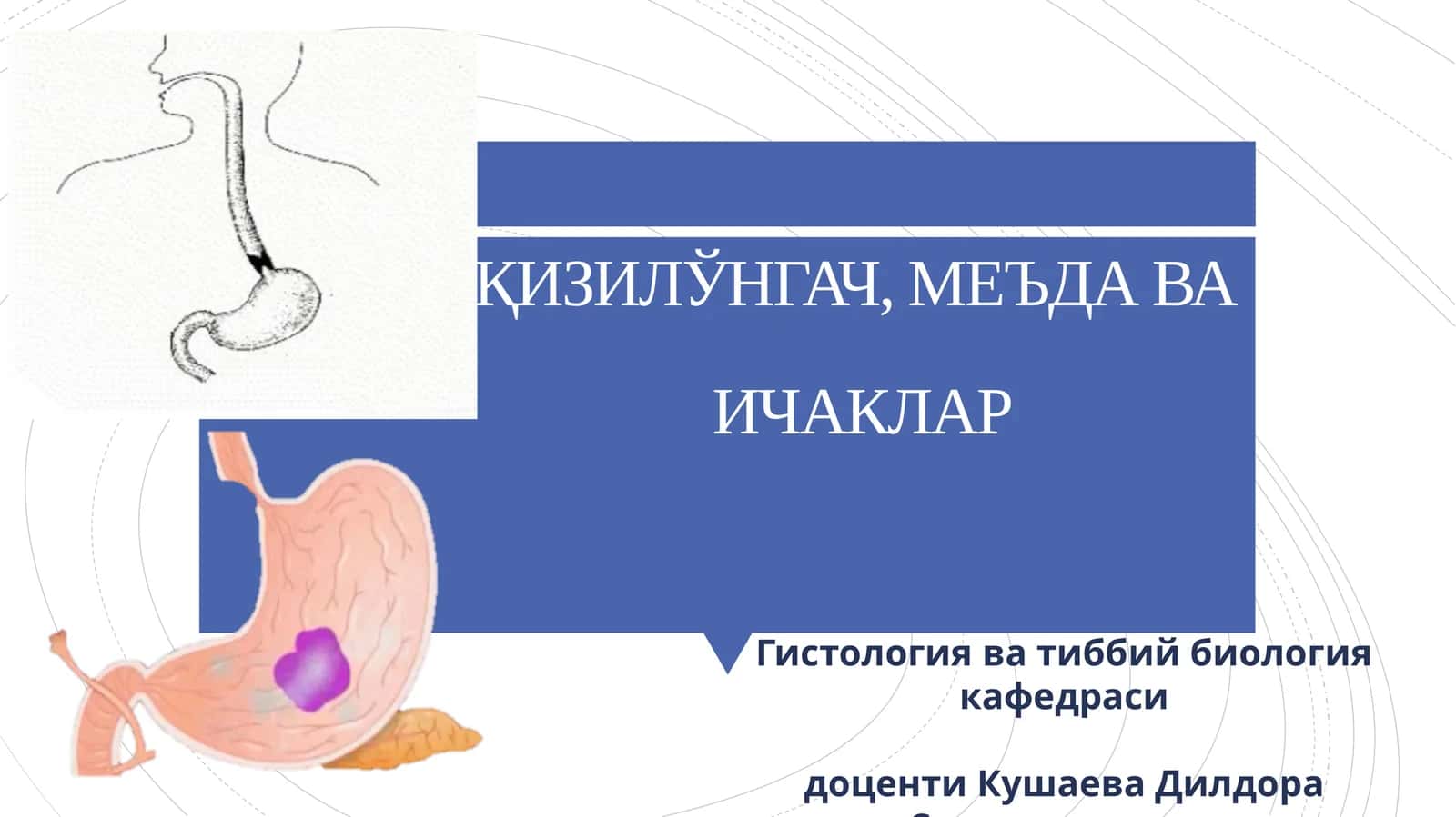 ҚИЗИЛЎНГАЧ, МЕЪДА ВАИЧАКЛАР 1