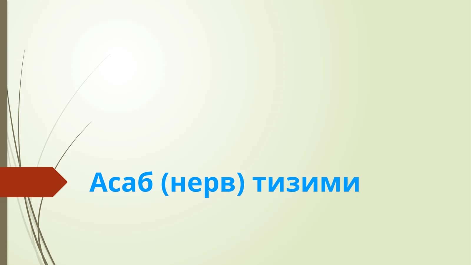 Асаб (нерв) тизими 1